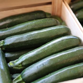 légumes de saison en circuit court