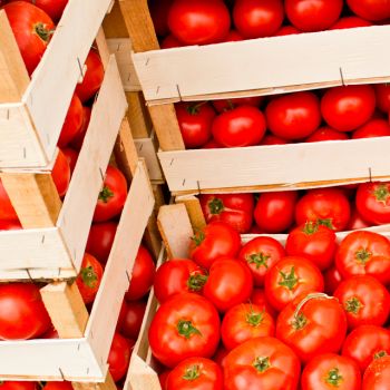 légumes locaux de saison