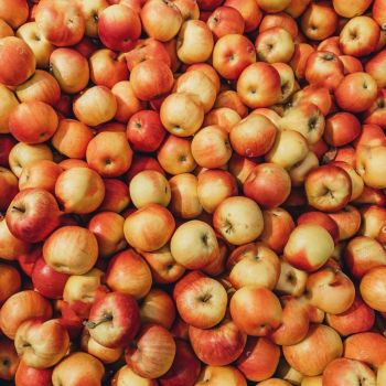 fruits de saison en circuit court