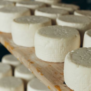 fromage local en circuit court