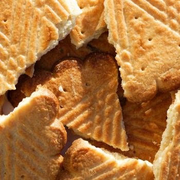 g&acirc;teau sec en circuit court