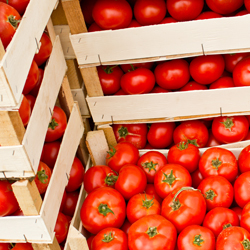 Fruits et l&eacute;gumes locaux