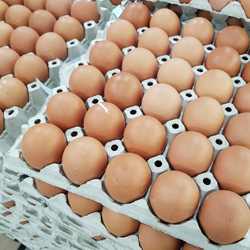 Nos produits locaux en &eacute;picerie sal&eacute;e