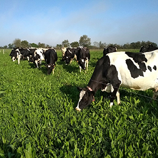 GAEC DE LA MAISON NEUVE