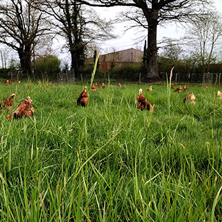 L&rsquo;OR&Eacute;E DU VILLAGE 